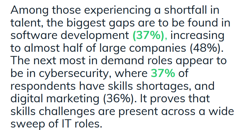 Among those experiencing a shortfall in talent, the biggest gaps are to be found in software development (37%), increasing to almost half of large companies (48%). The next most in demand roles appear to be in cybersecurity, where 37% of respondents have skills shortages, and digital marketing (36%). It proves that skills challenges are present across a wide sweep of IT roles.
