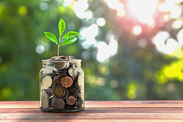 Plant pot filled with money